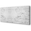 Obraz canvas Tehlové múry wall 100x50 cm
