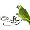 ParrotClub Traky a postroj pre papagáje a vtáky (bez karabíniek) S čierny