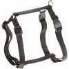 CHAMPION P XXL HARNESS BLACK