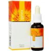 Gynex bylinný koncentrát 30ml