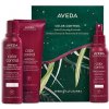 Aveda Darčeková sada pre farbené vlasy Color Control