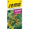 SEMO Rajčiak kríčkový TUMBLING TOM YELLOW 3139 10s