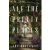 All the Pretty Places - Joy Callaway
