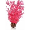 biOrb Plastová rastlina - Sea Fan ružová 20 cm