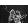 Fotografia Robert Plant and Jimmy Page of Led Zeppelin, Jay Dickman, 40 × 26.7 cm