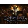 Torment: Tides of Numenera Steam CD Key