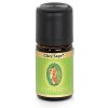 Éterický olej Šalvia lekárska BIO - Primavera Objem: 5 ml