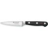 Wüsthof Classic Paring knife 1040100409 9 cm