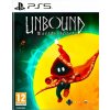 Unbound: Worlds Apart (PS5)