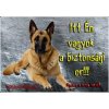 Magyar tábla (German shepher)