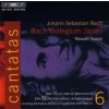 BACH,J.S.: Kantáty Vol.06 (BWV 21, 31) [Bach Collegium] (CD) (BIS)