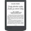 Čítačka kníh PocketBook 619 Verse Lite (PB619-T-WW) sivá