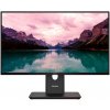 Lenovo ThinkVision T24-40 64A4MATXEU