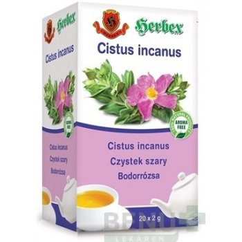 HERBEX Cistus incanus 20 x 2 g