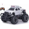 Mikro Trading RC Auto terénní 14 cm