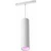 Stropné svetlo Philips Hue White and Color Ambiance Perifo závesné svetlo biele (929003116001)