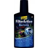 Tetra Filter Active Bacteria 100 ml