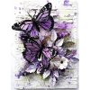 DIAMANTOVÁ MAĽBA SADA DIAMOND PAINTING 5D 30X40 DIAMANTOVÁ MOZAIKA Motýľ