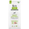 Brit Care Dog Sustainable Adult Medium Breed - chicken and insect, 12kg