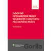 Evropské mezinárodní právo soukromé v kontextu pracovního práva - Tereza Kadlecová