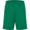James & Nicholson Kraťasy Basic JN 387, týmové COT02038784403-green/white L Zelená/černá