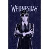 JERRY FABRICS Fleece deka Wednesday
