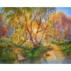 Amparo Miranda® Maľovanie podľa čísiel Brezy pri rieke