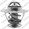 Termostat chladenia CALORSTAT by Vernet TH1529.89J