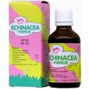 Echinacea Hanus detský sirup 50 ml