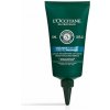 L'Occitane Aromachology Purifying Freshness Rebalacing Scalp Essence sérum na vlasy 75 ml