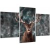 Obraz - jeleň v zime (Obraz 90x60cm)