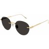 Cartier CT0393S 002