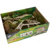 Lucky Reptile Deco Set Mantis
