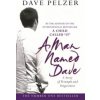 Man Named Dave