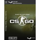 Counter Strike: Global Offensive