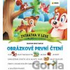 Zvířátka v lese - Obrázkové první čtení - SUN
