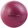 Ledragomma Pezzo Gymball 53 cm