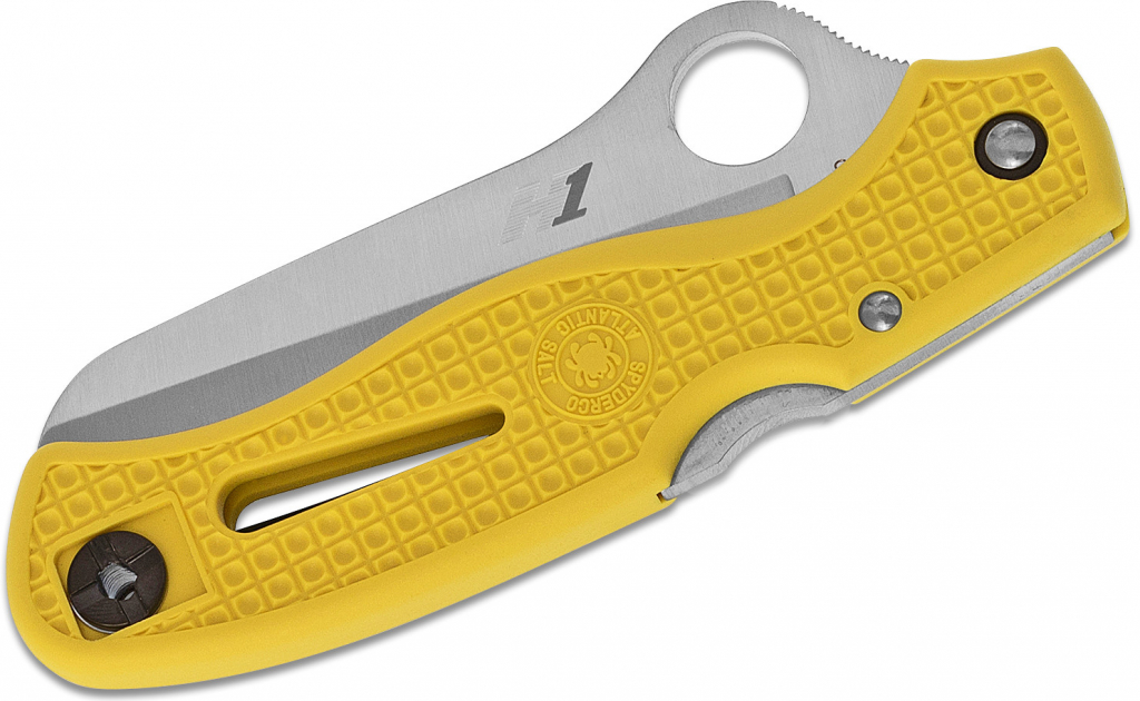 Spyderco Atlantic Salt C89SYL