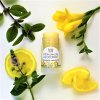 Biorythme Přírodní deodorant Citronová meduňka 30 g