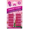 Tyčinky - Forestina orchidey a bromélie 30 ks