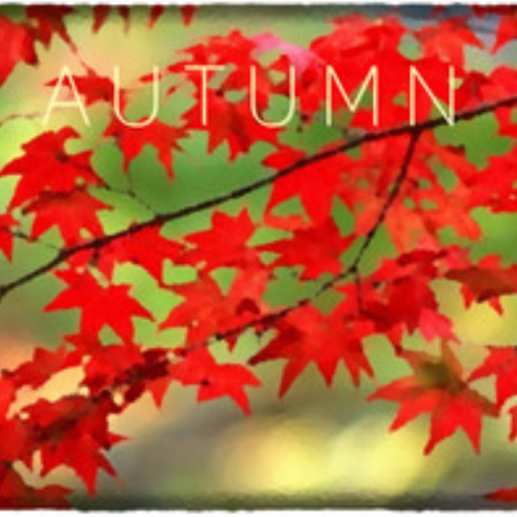 Autumn