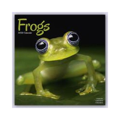 Frogs Square Animal Wall 16 Month 2024