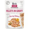 Kapsička pre mačky Brit Care Cat Savory Salmon Gravy 85 g