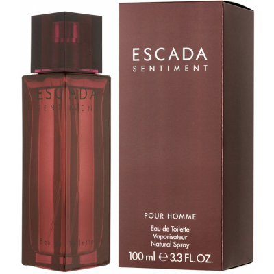 Escada Sentiment toaletná voda pánska 100 ml