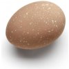 Cooee Design Veľkonočné vajíčko Deco Cafe Au Lait, set 2 ks – hnedé