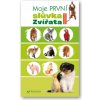 Svojtka Moja prvá slovíčka Zvieratá