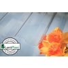 LANIT PLAST, s.r.o. Polykarbonátová doska MARLON CS 0,8 mm 1,06x4 m číra LG2626