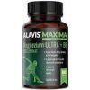 Alavis MAXIMA Magnezium ULTRA+B6 60cps