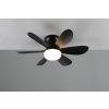 TRIO Reality R67462132 LUND Stropný ventilátor s osvetlením D530mm SMD LED 8W/850lm 2700-6500K čierna, diaľkový ovládač