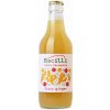 Bacilli Bio fermentovaná limonada fizzy ginger 330 ml